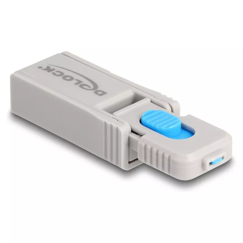 Blocco porte DeLOCK 20969 DisplayPort HDMI USB Type-A USB Type-C grigio