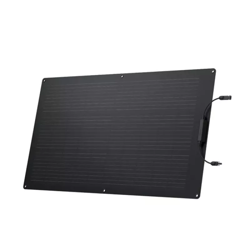 Modulo solare EcoFlow ZMS330 100 W silicio monocristallino