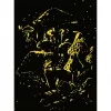 Puzzle Ravensburger Im Mondschein funghi luminosi, fosforescente, 500 pezzi