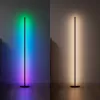 Lampada da terra Nanoleaf N7204K02-1FL 22W RGBW – illuminazione RGB regolabile e bianca tunable