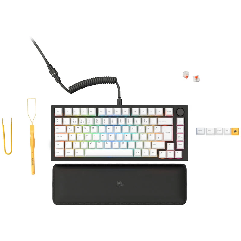 Tastiera Glorious GMMK Pro nero Slate 75% TKL - preassemblata, layout ISO-DE - nero (GLO-GMMK-P75-FOX-ISO-B-DE)