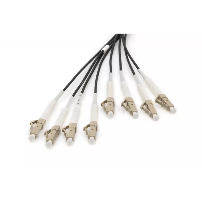 Cavo breakout universale in fibra ottica preassemblato Digitus Multimode OM4 8 fibre LC/UPC 50 m
