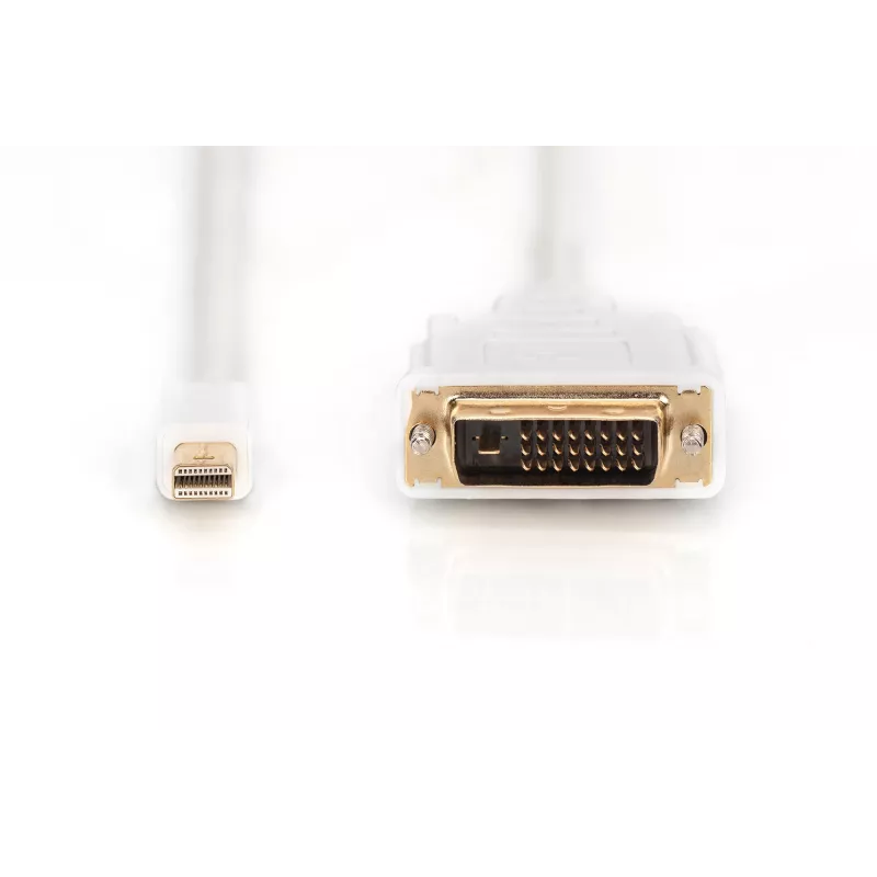Cavo DisplayPort 1.1a Mini DP-DVI Type-A MM 2,0 m