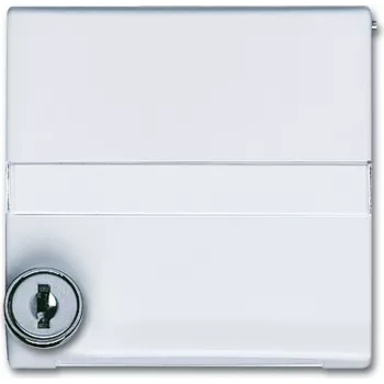 Busch Jaeger 2118 GKSLN/11-34 bianco (1710-0-3793)