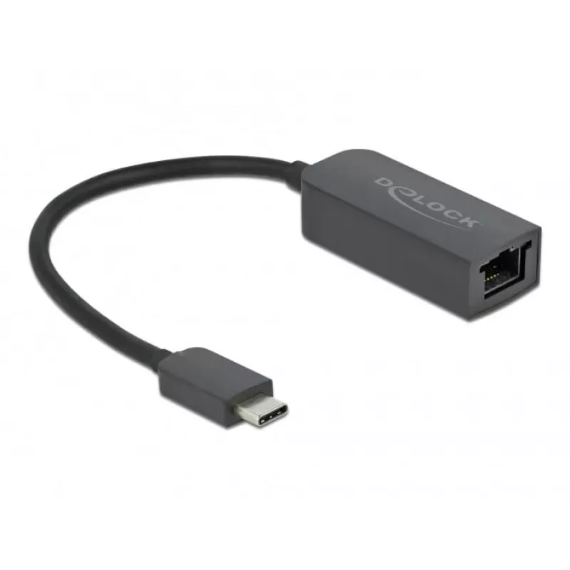 Adattatore USB Type-C maschio a LAN 2,5 Gigabit compatto DeLOCK 66645