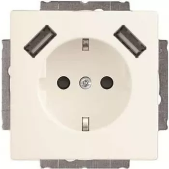 Busch-Jaeger presa SCHUKO con 2x USB 20 EUCB2USB-884 (2CKA002011A6277)
