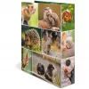HERMA 19252 raccoglitore ad anelli A4 multicolore con anelli a D