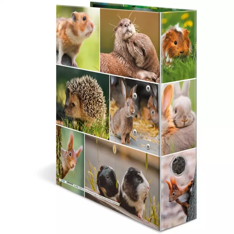 HERMA 19252 raccoglitore ad anelli A4 multicolore con anelli a D