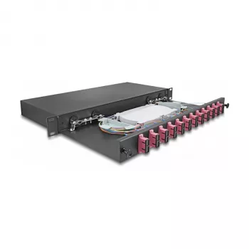 Cassetta di giunzione in fibra ottica DeLOCK 67008 nero metallo 482x220x44mm