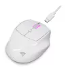 Sharkoon OfficePal M25W mouse da ufficio wireless, per destrorsi, 4000 DPI
