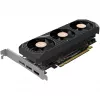 Scheda grafica ZOTAC GeForce RTX 5050 Low Profile 8GB GDDR6