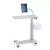 Ergotron Small - componente di montaggio (cestino in filo metallico)