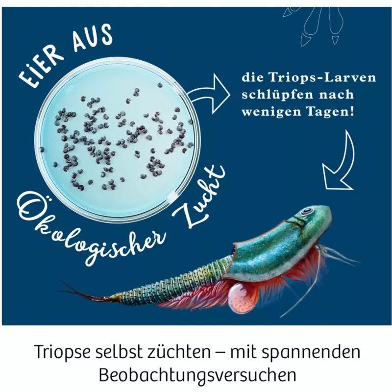 Kosmos 633073 Triops World kit di esperimenti
