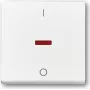 Busch Jaeger 1788-84 bianco (1751-0-2750)