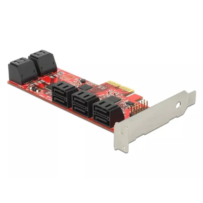 Scheda interfaccia DeLOCK 89384
