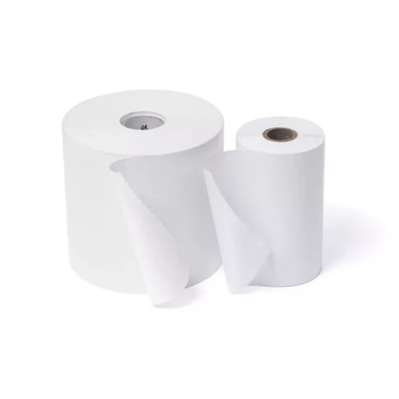 Zebra ZIPZLD3016796 carta termica 100 m