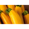 Semi di ortaggi zucchino dorato Toraf, confezione da 5g