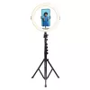 Agfa Arl11xl Ring Light LED Ring 11 pollici + treppiede + telecomando