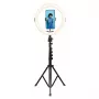 Agfa Arl11xl Ring Light LED Ring 11 pollici + treppiede + telecomando