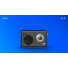 Radio portatile Savio RS-01 analogica nera