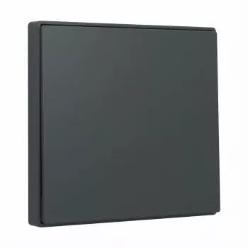 Bilanciere Gira System 55 antracite 329628 per placche modulari