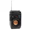 Squeak Bassblaster altoparlante Bluetooth 5.1, radio FM, lettore MP3 SQ1001