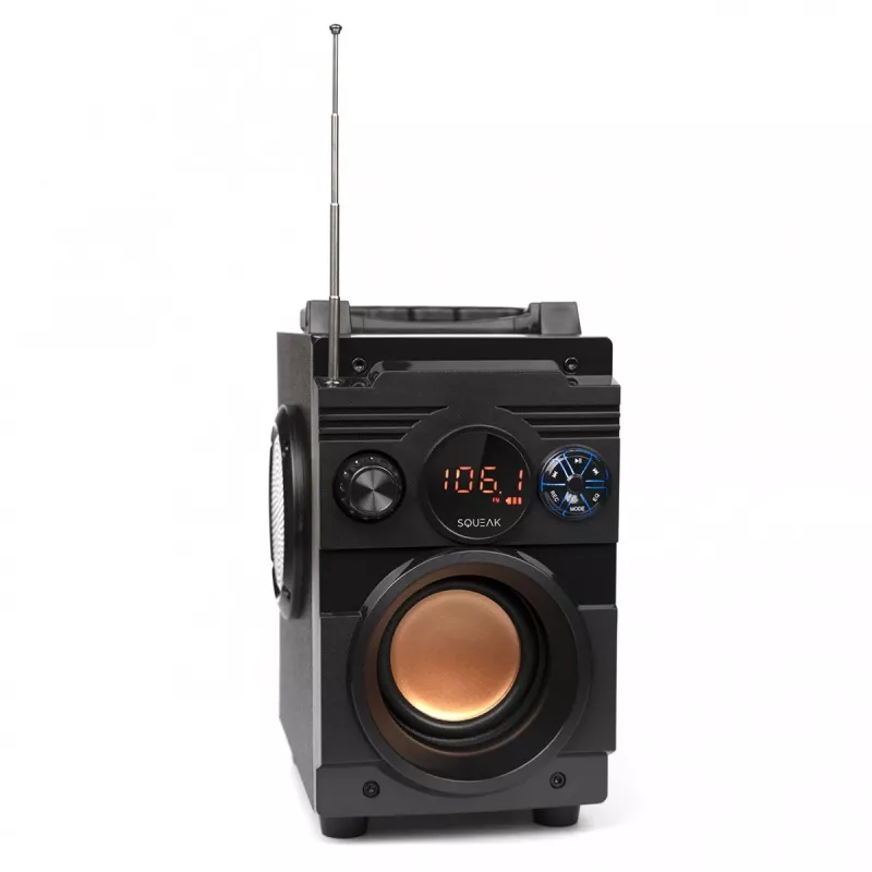 Squeak Bassblaster altoparlante Bluetooth 5.1, radio FM, lettore MP3 SQ1001
