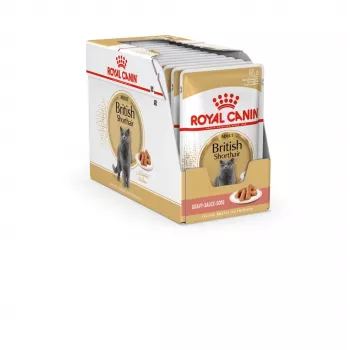 Cibo umido per gatti Royal Canin British Shorthair Adult sacchetto 85 g, pollo, ROYAL CANIN Feline Breed Nutrition