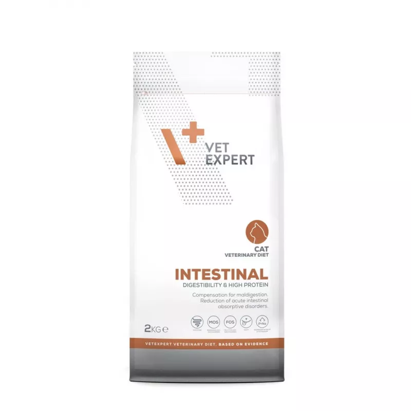 VetExpert Veterinary Diet Intestinal Cat alimento secco per gatti, 2 kg