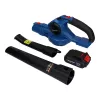 Soffiatore Blaupunkt CB2010 senza filo
