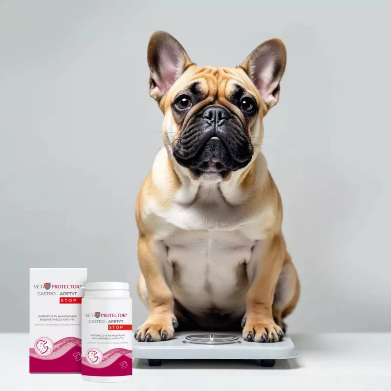JM SANTE VET PROTECTOR GASTRO APETYT STOP 150g