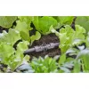 Connettore Gardena 13206-20 per sistema di irrigazione a goccia plastica