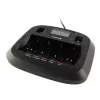 everActive NC-900U caricabatterie universale