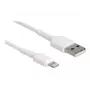 Cavo di ricarica USB DeLOCK 87866 per iPhone iPad iPod 30 cm