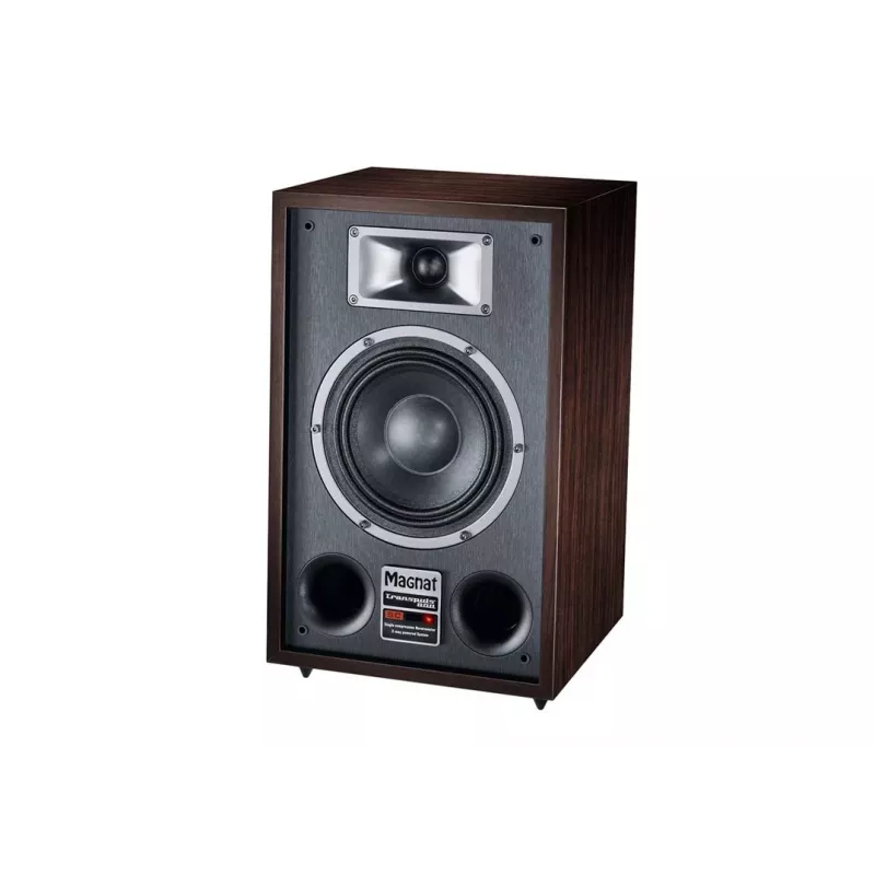 Diffusore da pavimento Magnat TRANSPULS 800A 2 vie con e senza fili 2×60 W, Bluetooth 5.0, HDMI, nero/marrone