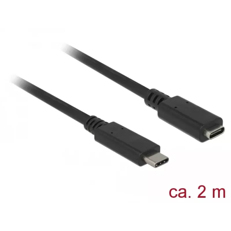 Cavo USB DeLOCK SuperSpeed USB 3.2 Gen 1 2 m USB-C nero