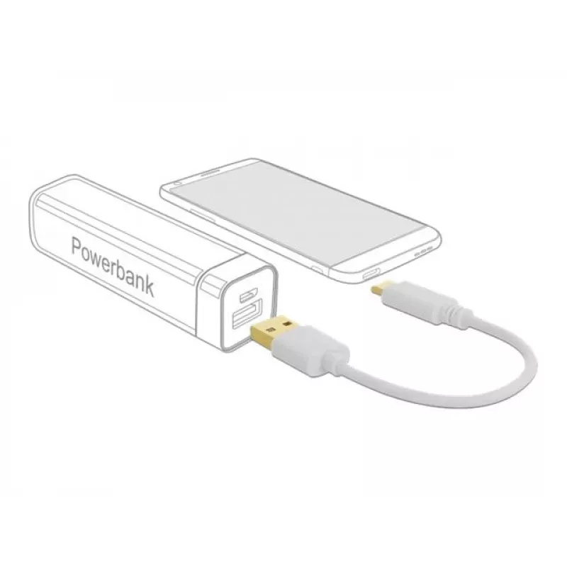 Cavo di ricarica USB DeLOCK Type-A a USB Type-C 15 cm