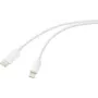 Cavo USB Renkforce USB 2.0 Type-C maschio Apple Lightning maschio bianco (RF-6857550)