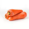 PNOS carota commestibile Lenka semi su nastro, 6 m