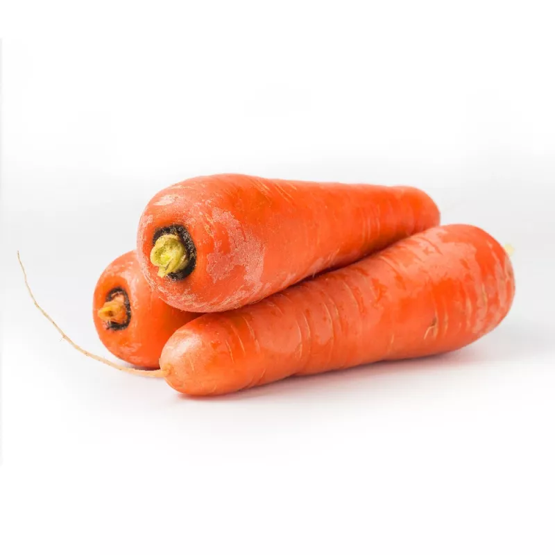 PNOS carota commestibile Lenka semi su nastro, 6 m