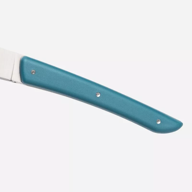 Coltello da bistecca Berkel KCO4SW11SRPBL acciaio inox 4 pezzi 11 cm lama