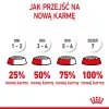 Royal Canin Kitten cibo secco per gatti 2 kg