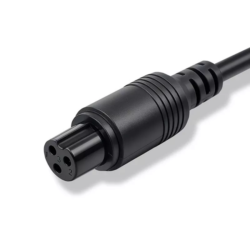 Caricabatterie per e-bike QOLTEC 36V–42V 2A con connettore GX12 3 pin