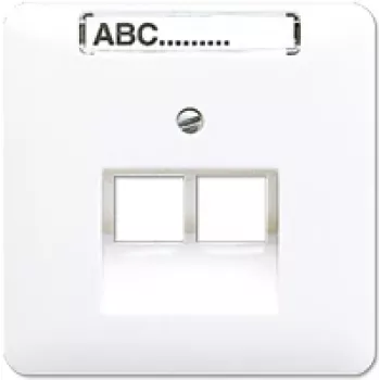 Presa a muro RJ-45 Jung CD 569-2 NAUA WW — bianco