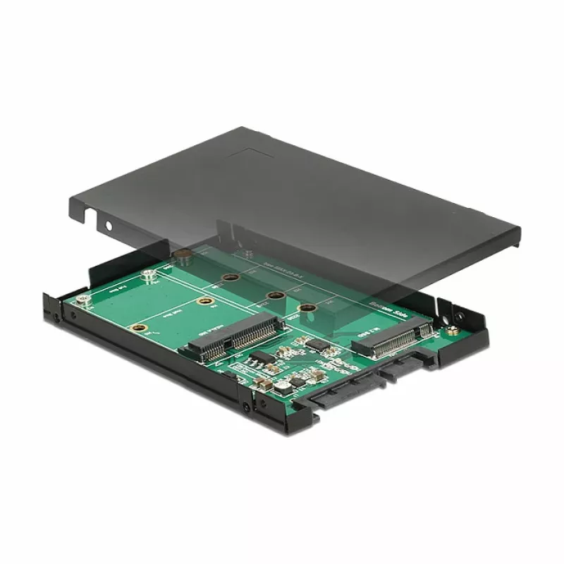 Scheda di interfaccia DeLOCK 62866 interna M.2 mSATA