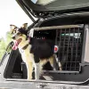 FERPLAST Atlas Car 100 Scenic, trasportino per animali per auto