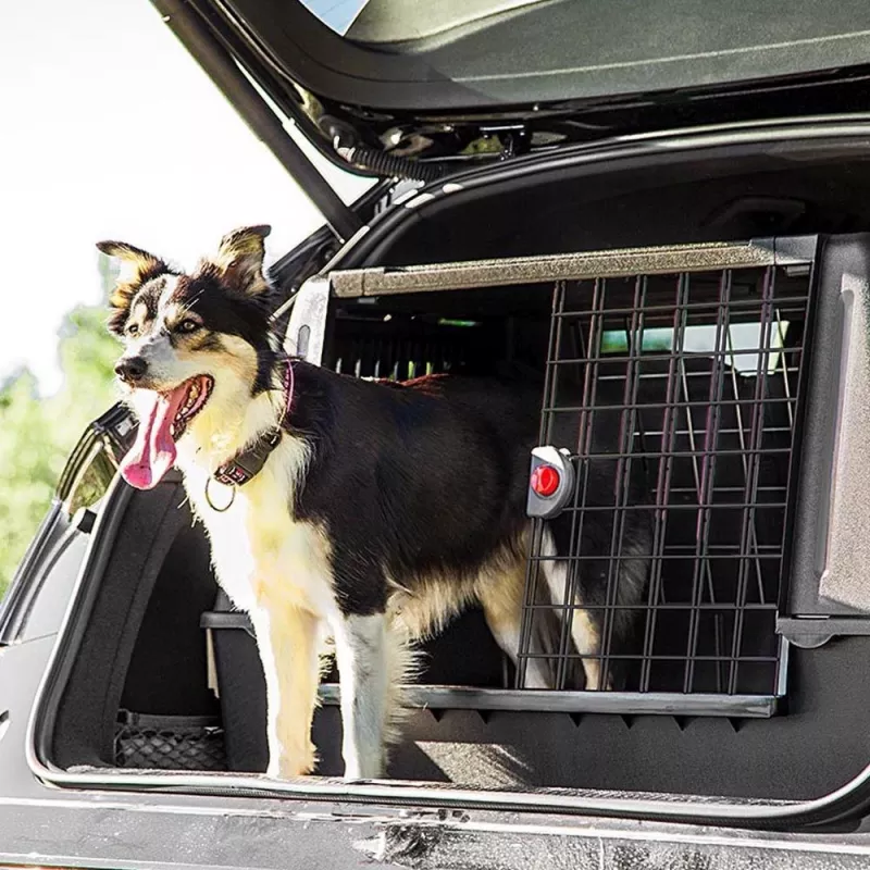 FERPLAST Atlas Car 100 Scenic, trasportino per animali per auto