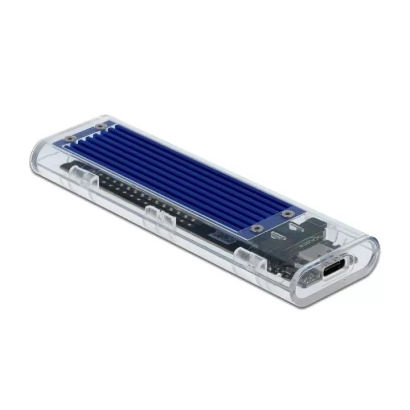 Case per SSD DeLOCK 42620 case esterno per SSD M.2 NVME PCIe con connettore femmina USB Type-C, trasparente
