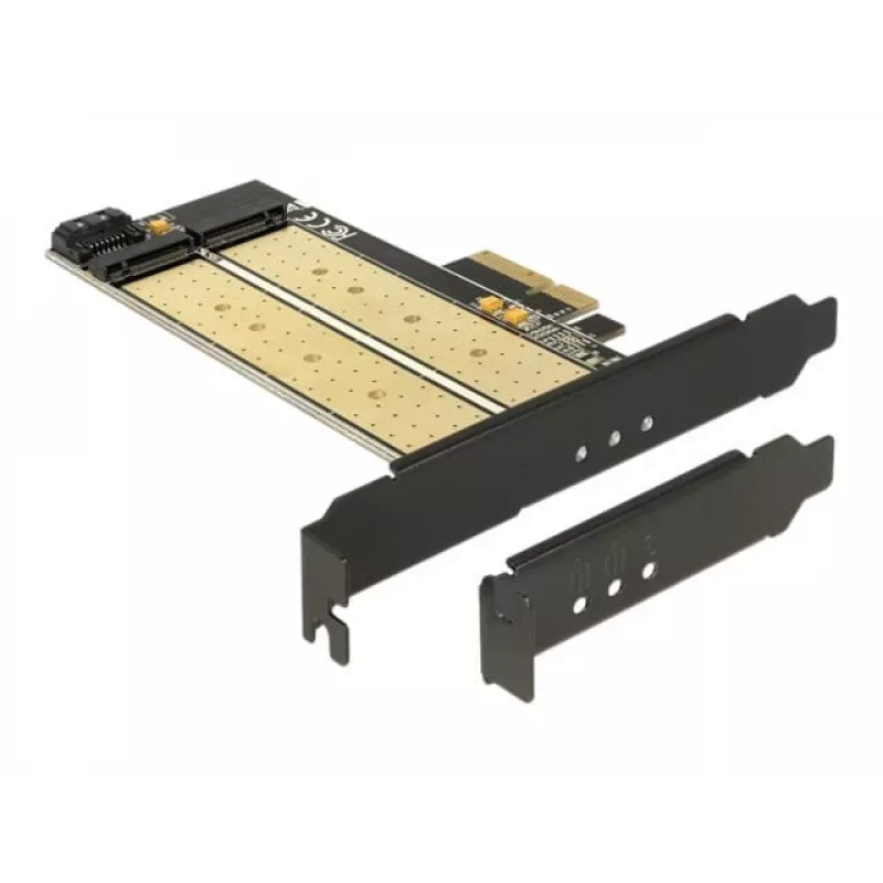 Scheda interfaccia DeLOCK 89630 interna M.2 SATA