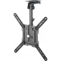 Goobay Supporto da soffitto per TV Basic (M), nero (70824)